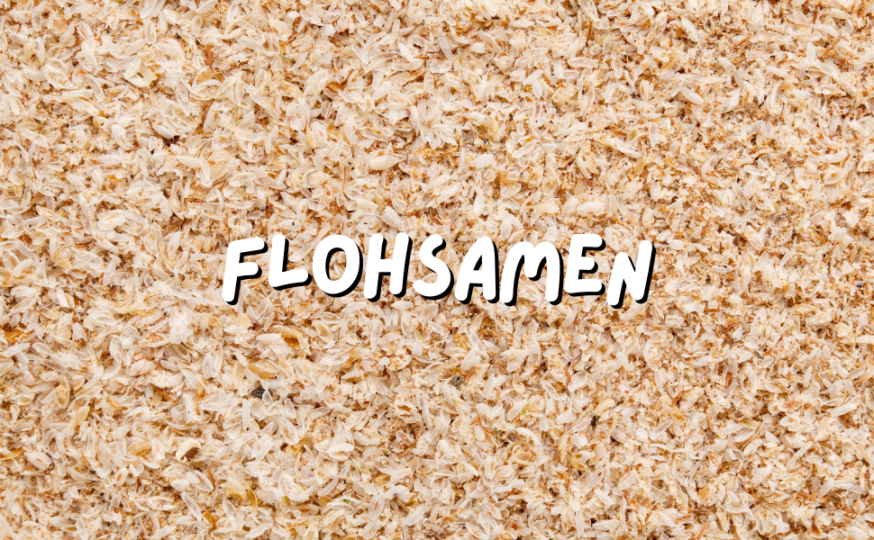 Flohsamen