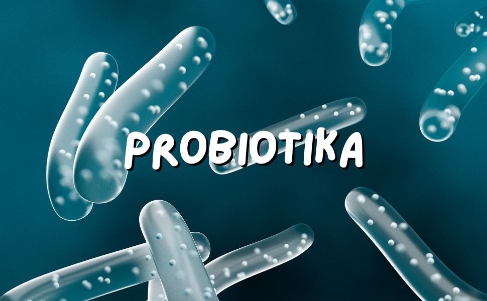 Probiotika