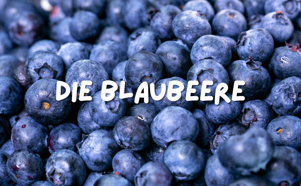 Obst ist gesund - auch für den Hund? 5 Fakten über Blaubeeren