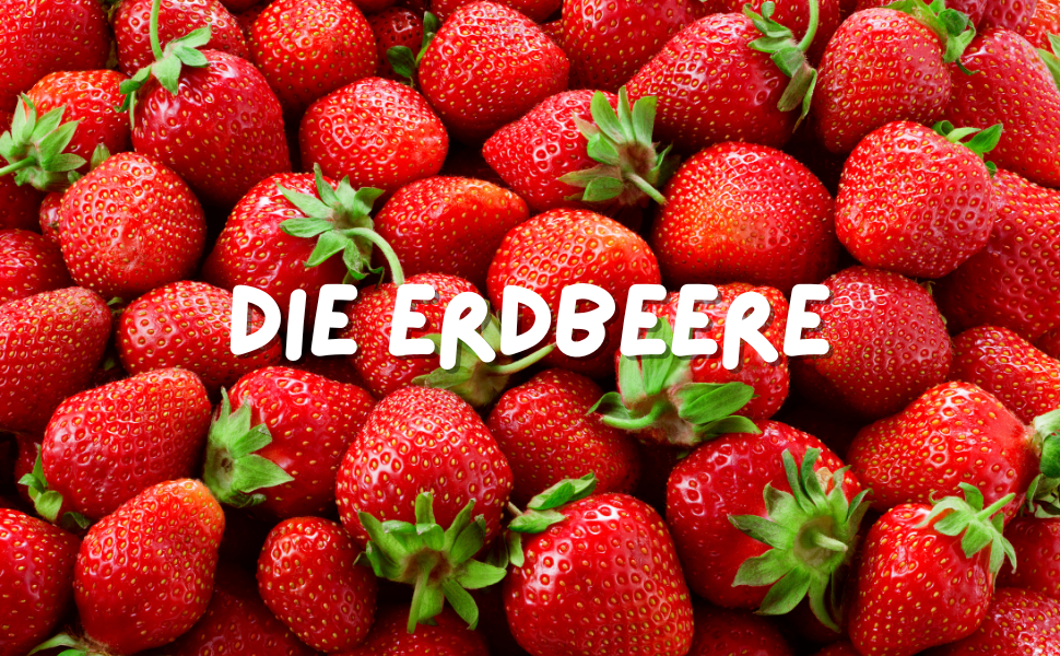 Erdbeeren Hunde
