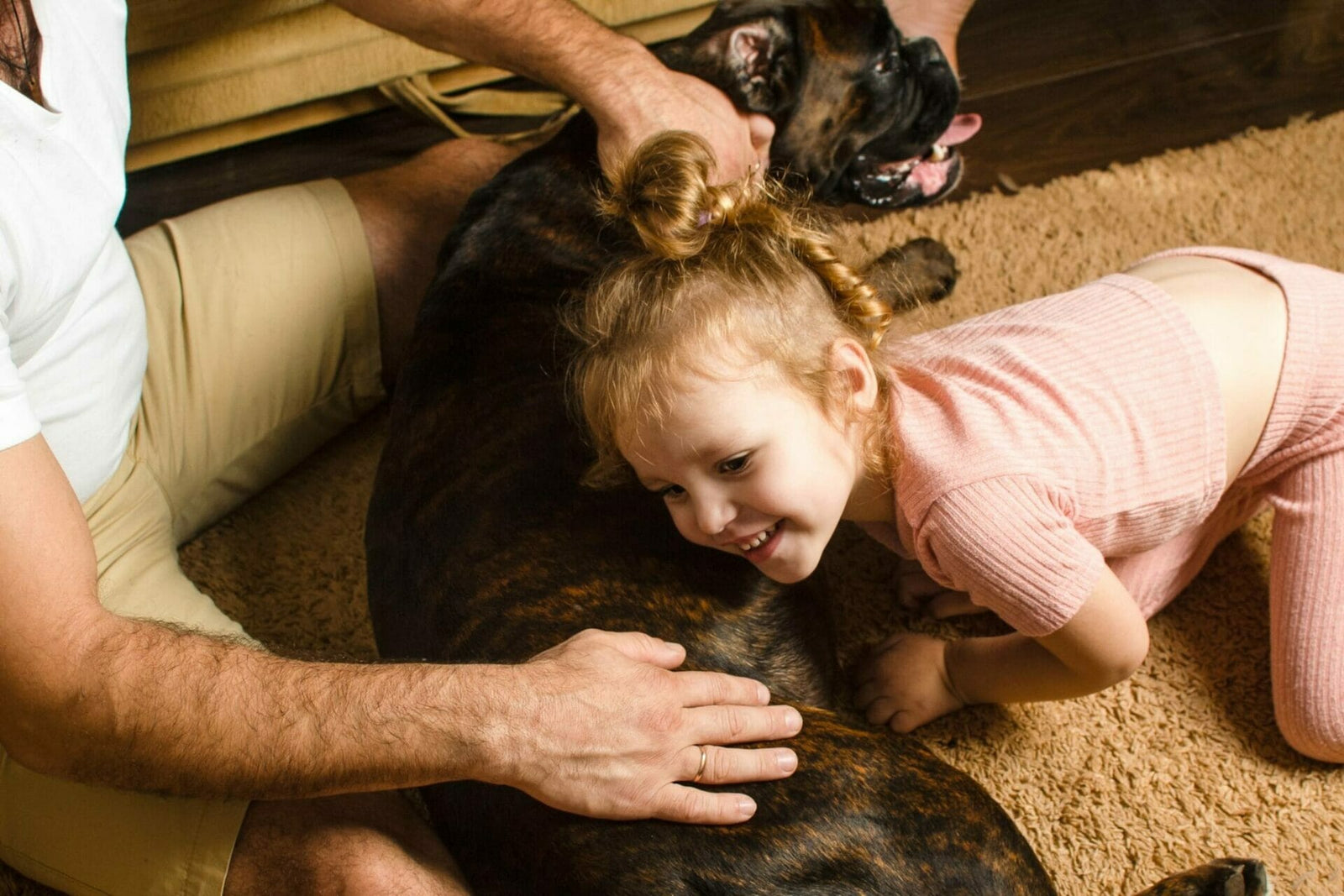 Ernährung trächtige & säugende Hündin
