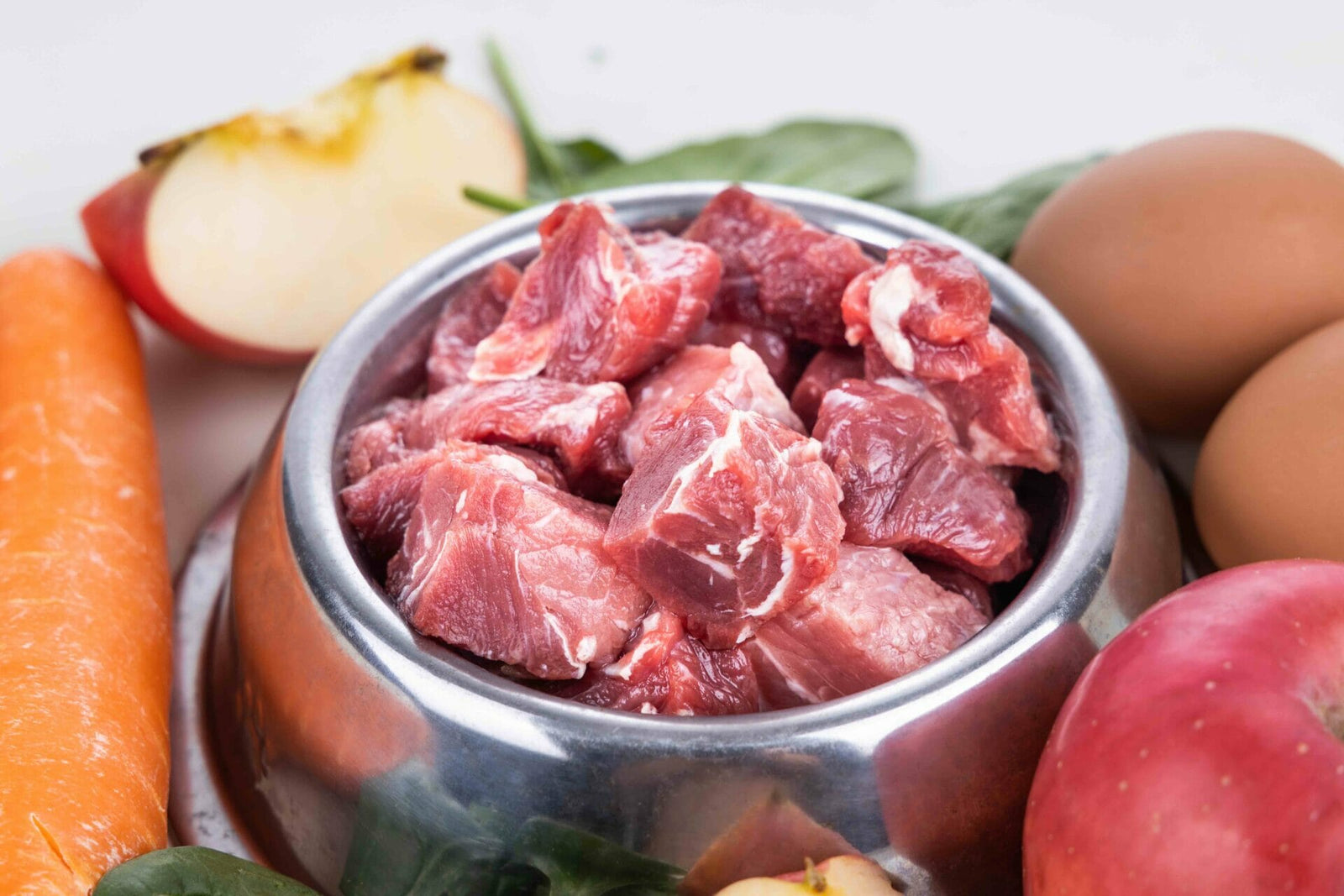 Rohes Fleisch für Hunde