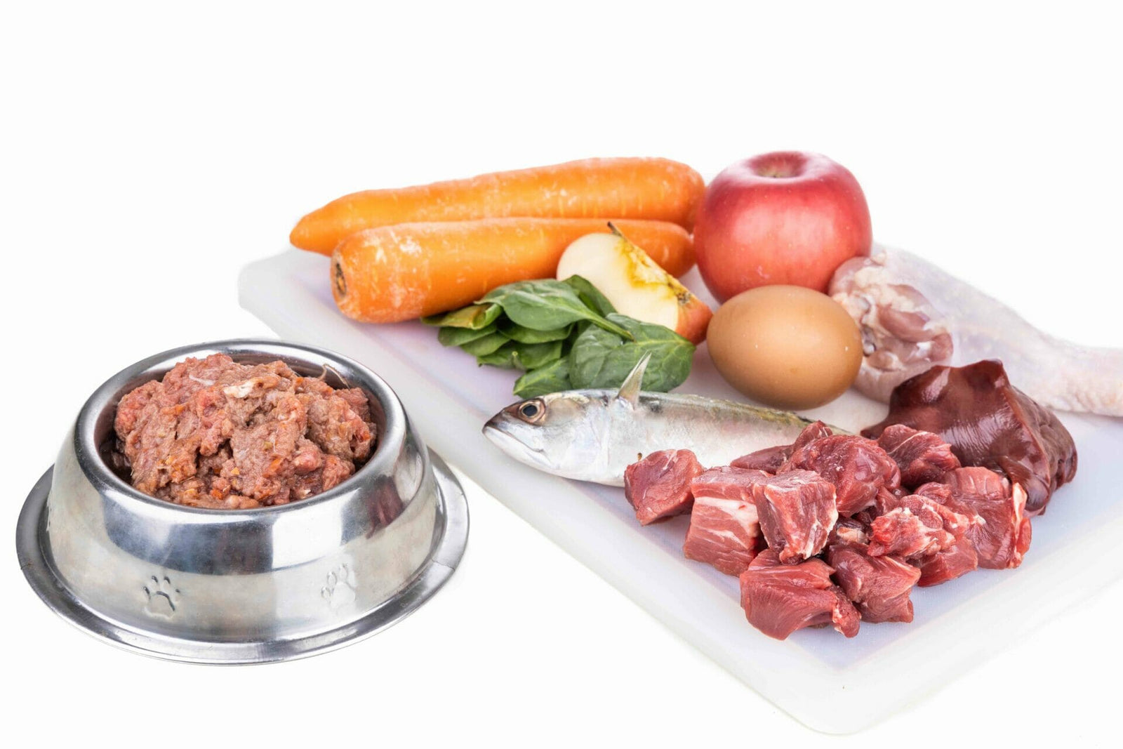Lebererkrankungen bei Hunden