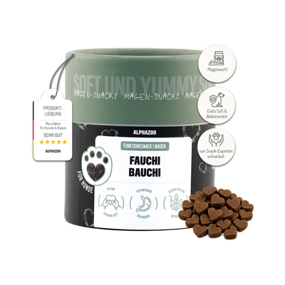 Fauchi Bauchi