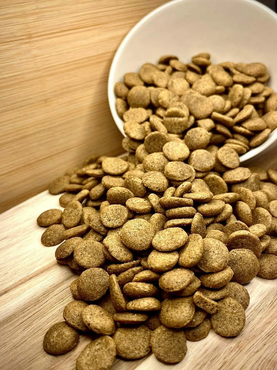 Vegetarisches veganes Hundefutter