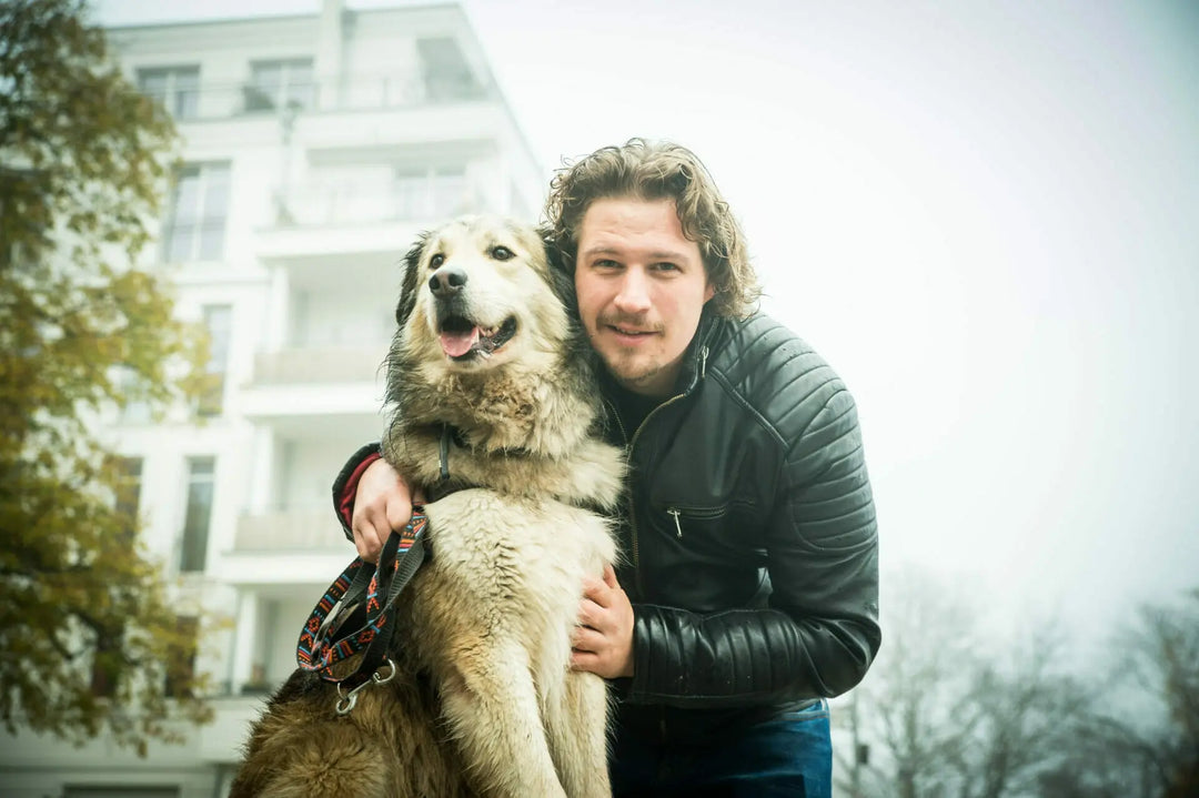 MyPetClub Haute Protéine