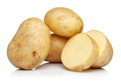 Nutriments importants dans les aliments pour chiens