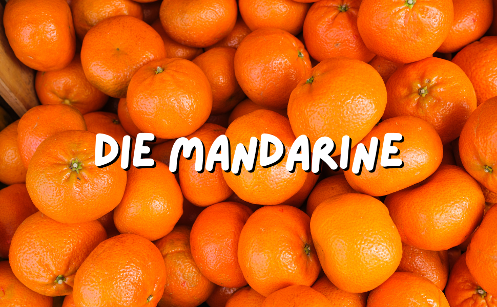 Obst ist gesund - auch für den Hund?  5 Fakten über die Mandarine