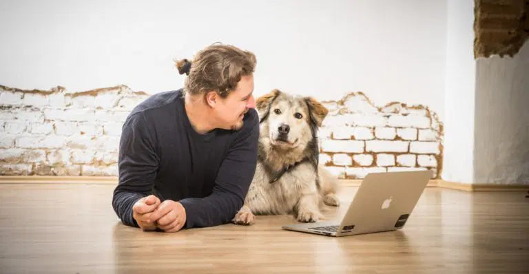 Patella-Luxation beim Hund - wie sie behandelt wird und welche Kosten entstehen können