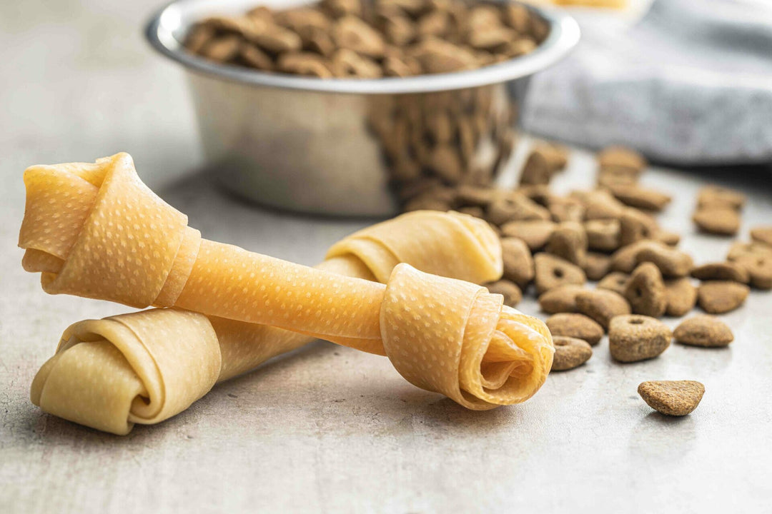 Glucides pour chiens