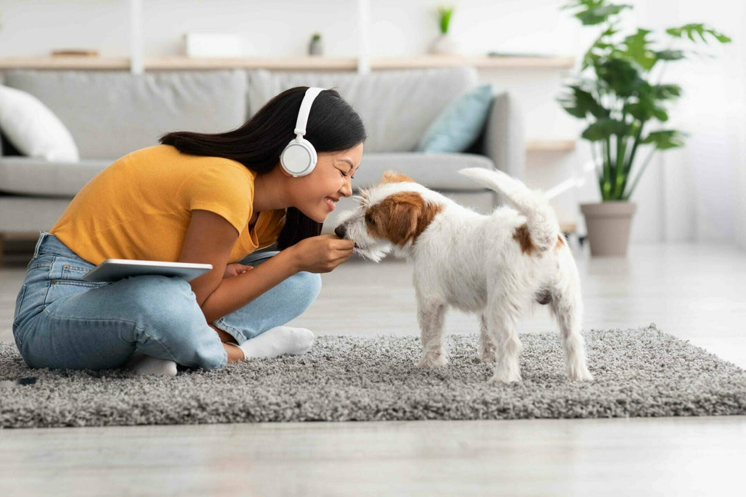 Zähneputzen beim Hund