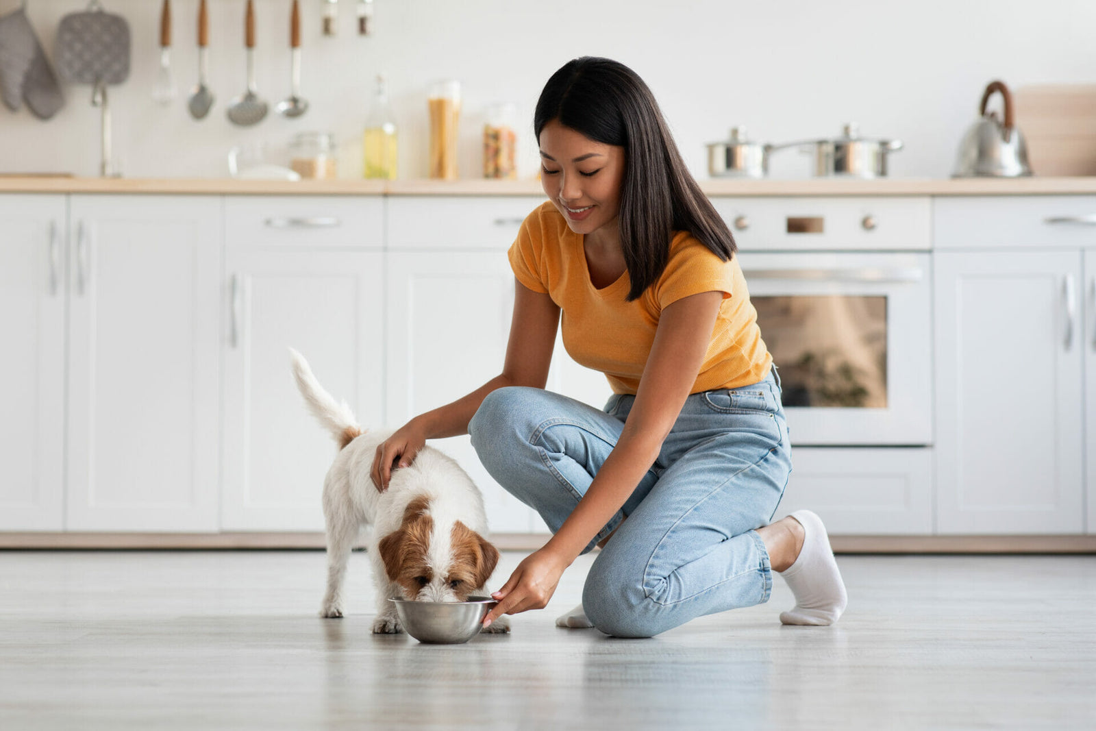 Magenfreundliches Hundefutter