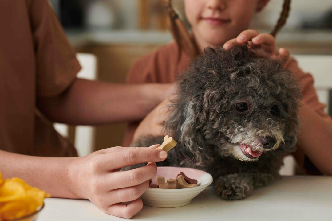 Nahrungsergänzungsmittel für Hunde