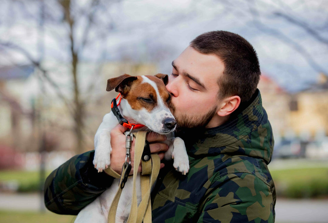 Hundefutter selbst zubereiten