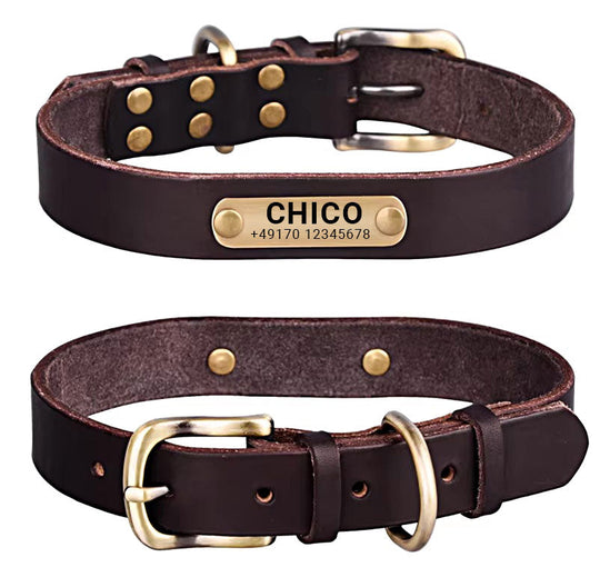 Echtleder Hundehalsband mit Messingschnalle in vier Farben und gratis Gravur Name und Telefon