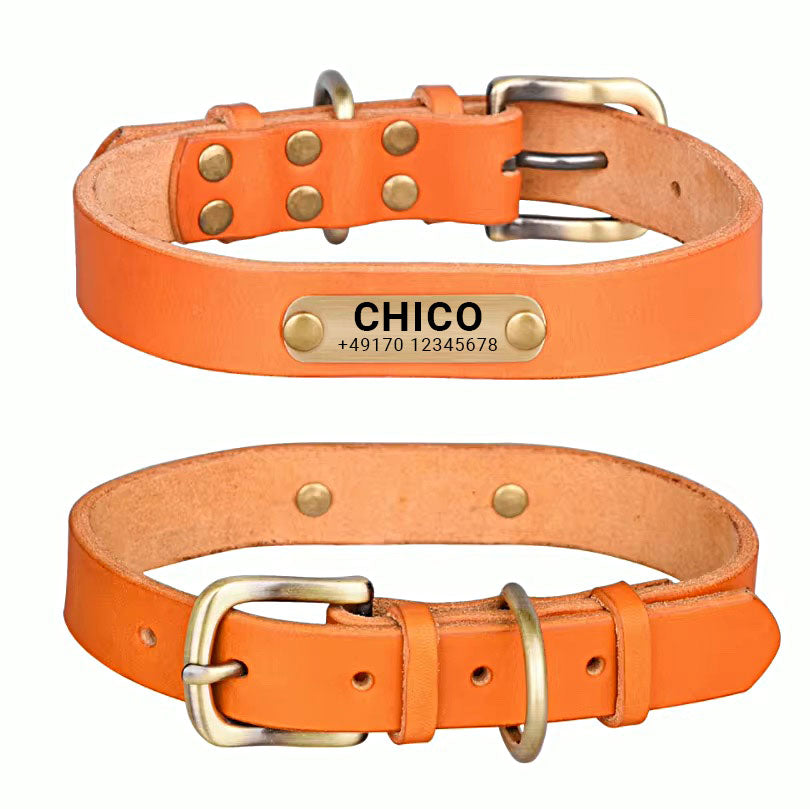 Echtleder Hundehalsband mit Messingschnalle in vier Farben und gratis Gravur Name und Telefon