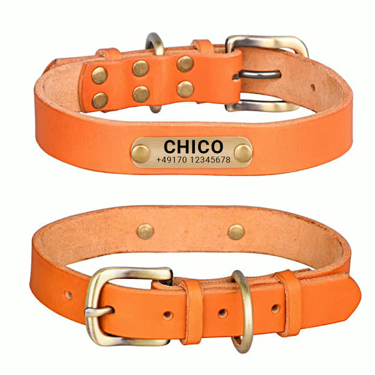 Echtleder Hundehalsband mit Messingschnalle in vier Farben und gratis Gravur Name und Telefon