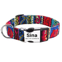Hundehalsband „Sina“ – Personalisiert mit Namen & Nummer | Verstellbar, bunt & robust
