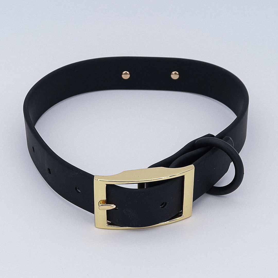 Wasserfestes Biothane Hundehalsband "Baxter" mit Gravur – Name & Telefonnummer – Outdoor – Grün oder Schwarz – S, M, L