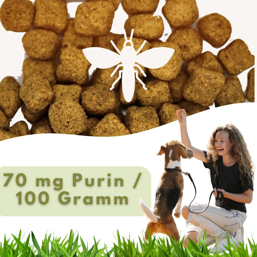 MyPetClub InsektenPurinarm - optimiert