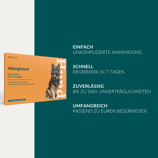 Allergietest Basic Hund