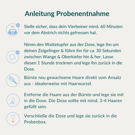 Allergietest - Tierische Proteine Hund