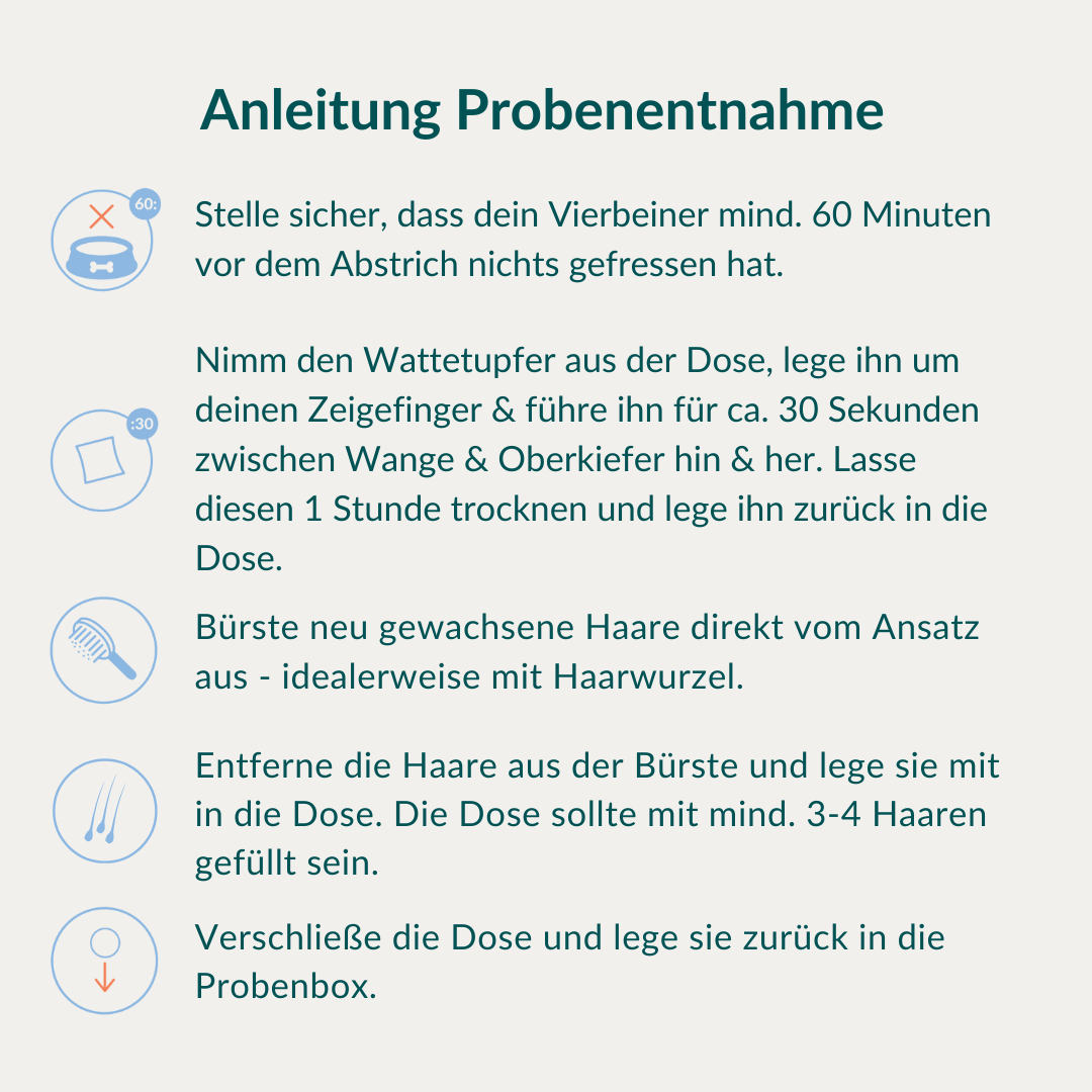 Allergietest - Gemüse, Getreide & Co. Hund