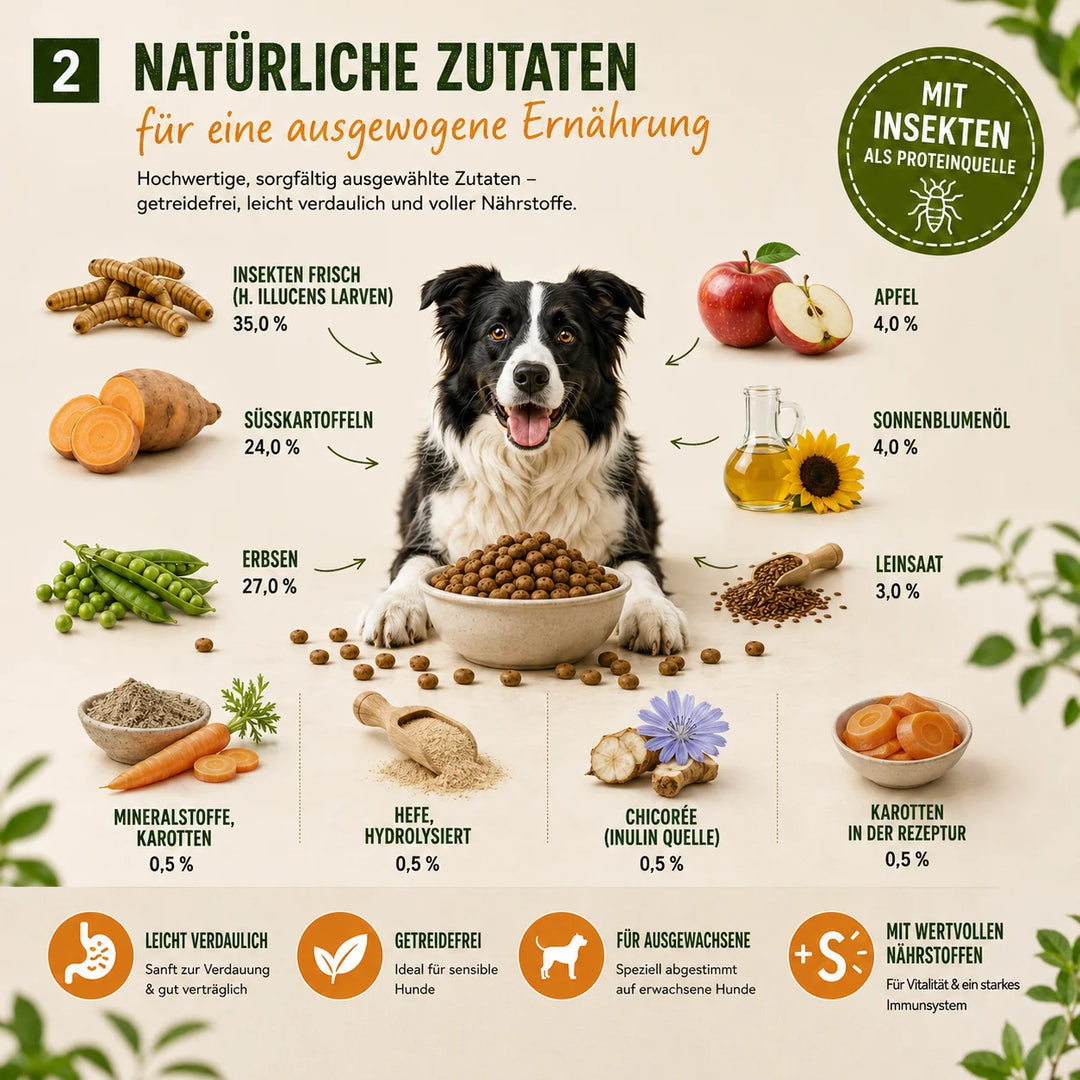 MyPetClub Insekten - optimiert