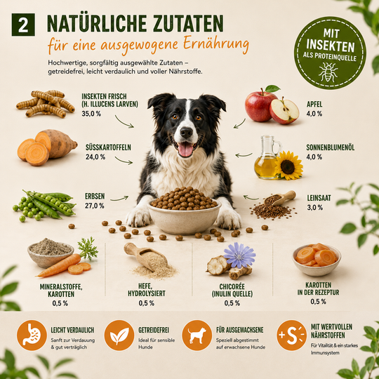 MyPetClub Insekten