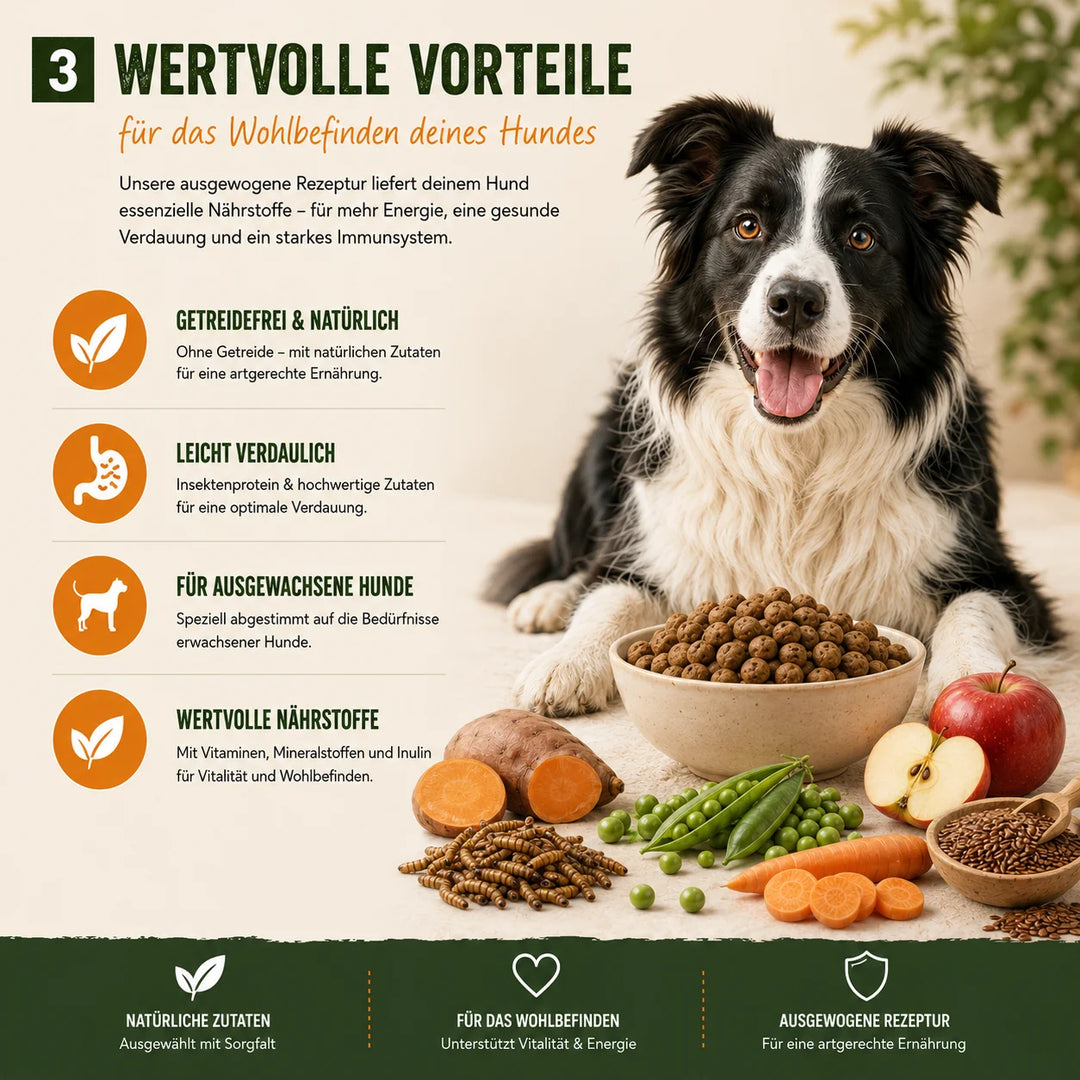 MyPetClub Insekten - optimiert