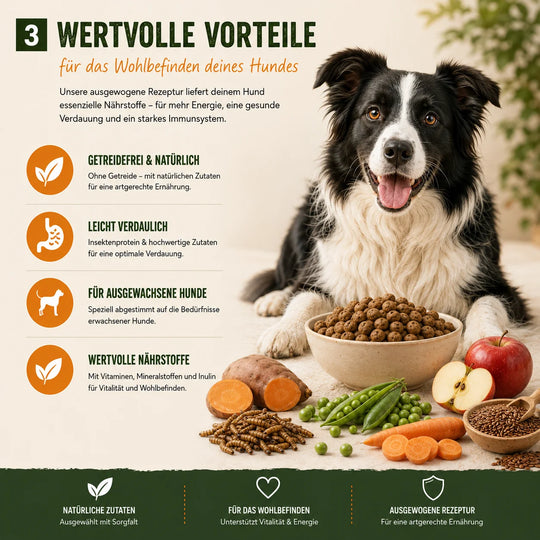 MyPetClub Insekten - optimiert