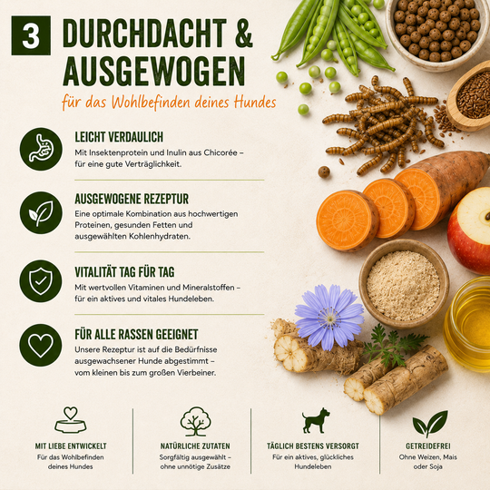 MyPetClub Insekten