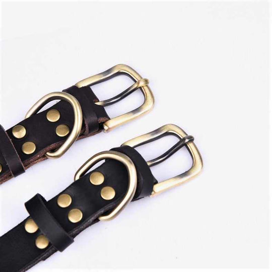 Echtleder Hundehalsband mit Messingschnalle in vier Farben und gratis Gravur Name und Telefon