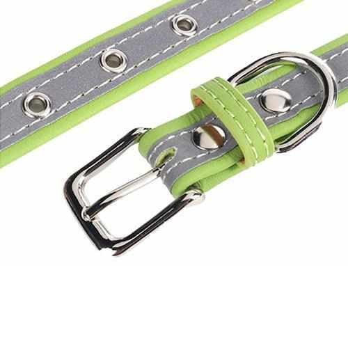 Hundehalsband mit Namen und Telefon graviert. Reflektierend