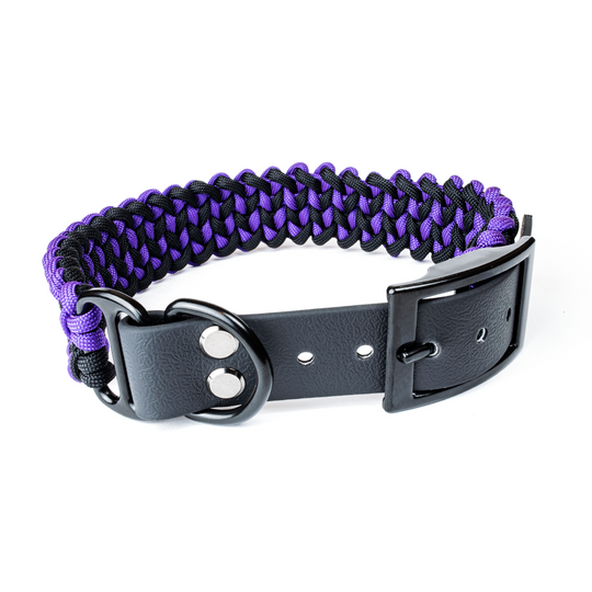 Hundehalsband Tierluxe Historisch Handgemacht Paracord Biothane