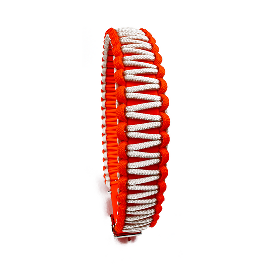 Hundehalsband Lori Tierluxe - Handgemacht, Paracord, Biothane