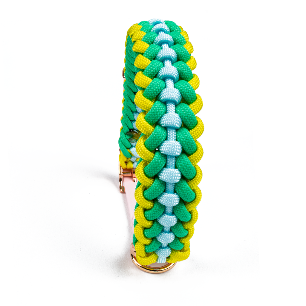 Hundehalsband Tierluxe Foxy Handgemacht Paracord Biothane