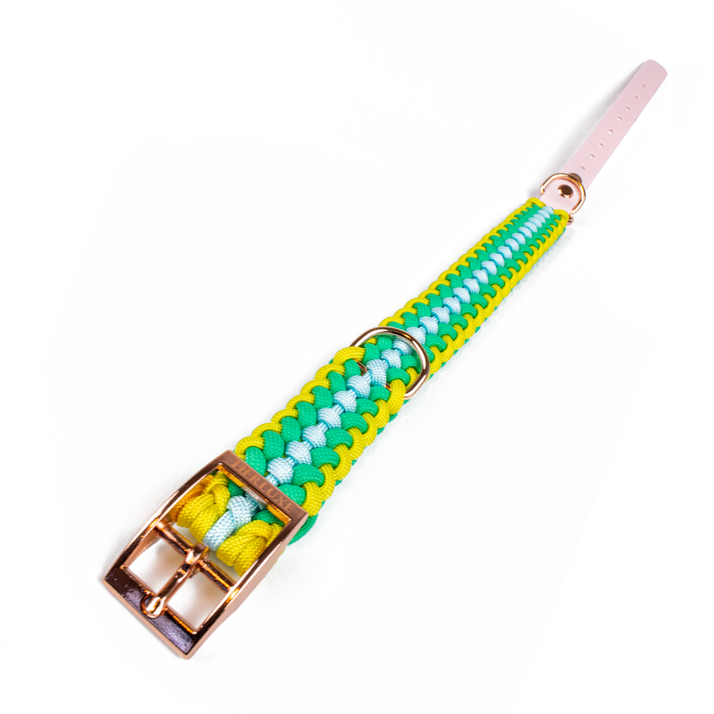 Hundehalsband Tierluxe Foxy Handgemacht Paracord Biothane