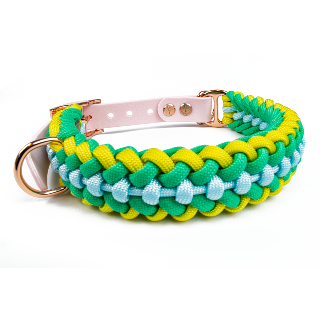 Hundehalsband Tierluxe Foxy Handgemacht Paracord Biothane