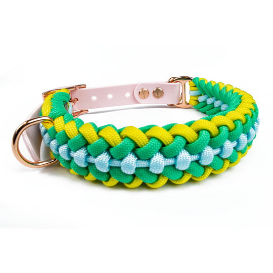 Hundehalsband Tierluxe Foxy Handgemacht Paracord Biothane
