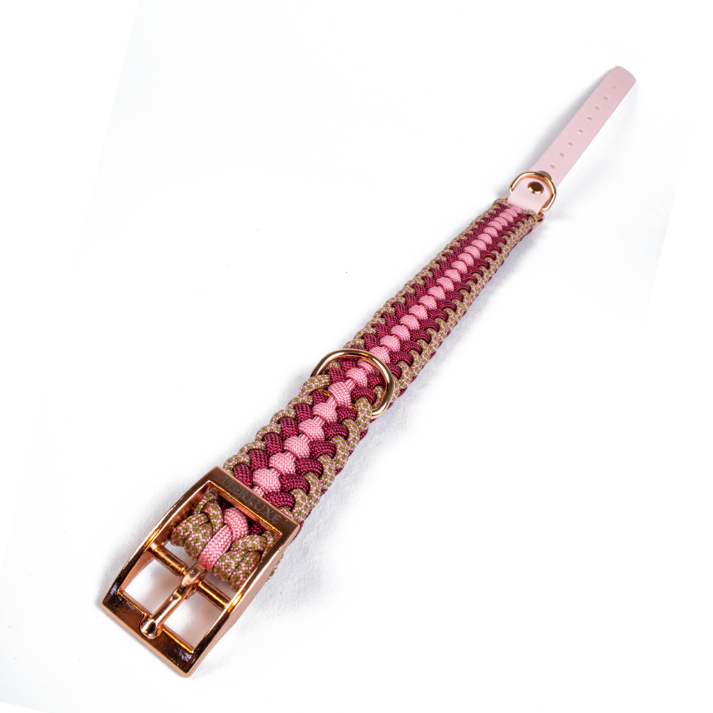 Hundehalsband Tierluxe Foxy Handgemacht Paracord Biothane