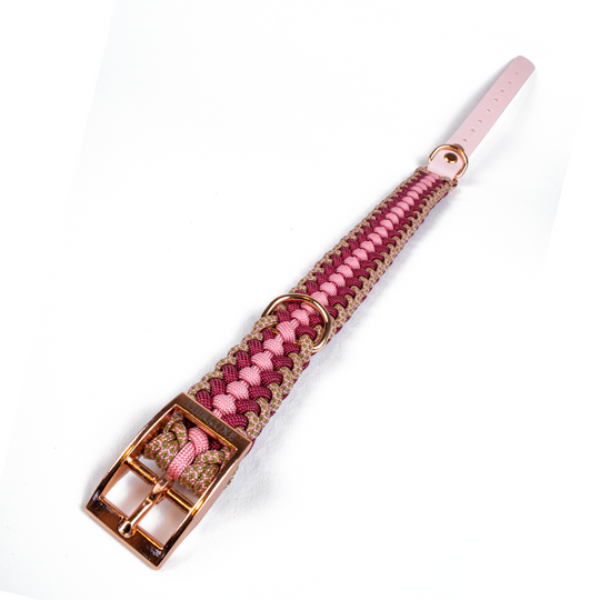Hundehalsband Tierluxe Foxy Handgemacht Paracord Biothane