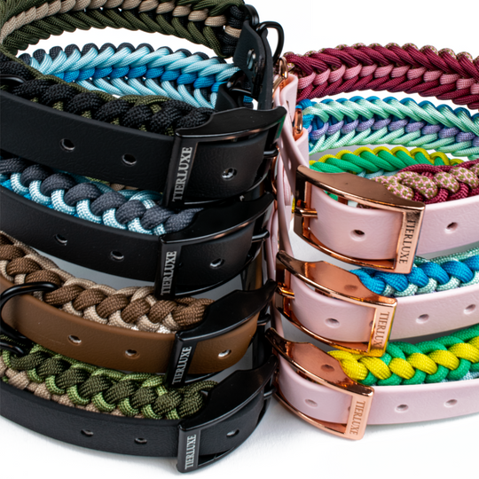 Hundehalsband Tierluxe Foxy Handgemacht Paracord Biothane