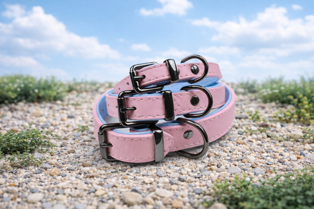 Tierluxe Klassiker - Premium Leder Hundehalsband