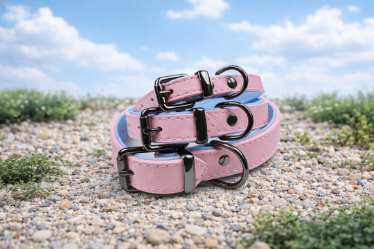 Tierluxe Klassiker - Premium Leder Hundehalsband