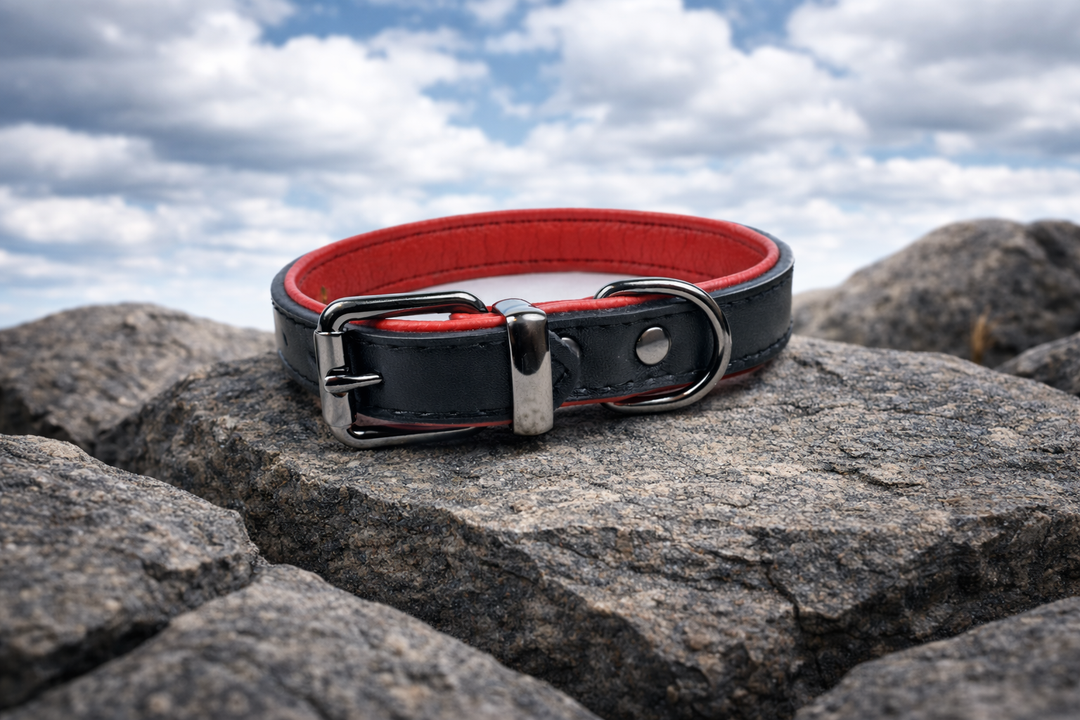 Tierluxe Klassiker - Premium Leder Hundehalsband