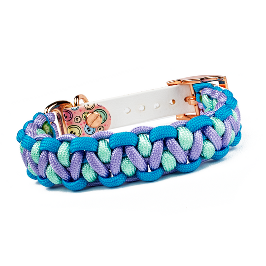 Hundehalsband Tierluxe Snowy Blau Handgemacht Paracord Biothane