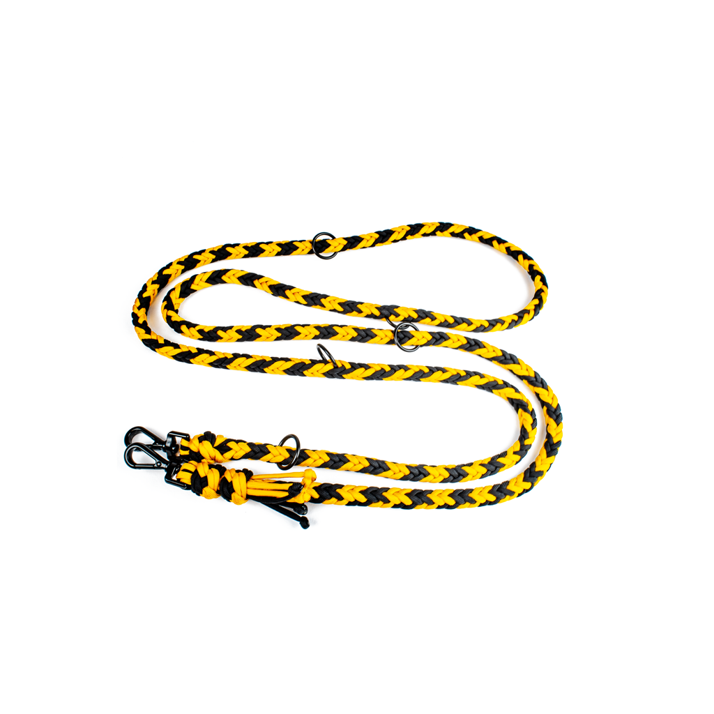 Hundeleine Tierluxe Bienenkraft Handgemacht Paracord Verstellbare