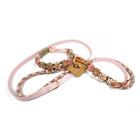 Hundeleine Tierluxe Blumen Biothane Paracord
