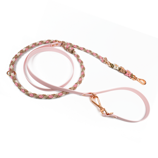 Hundeleine Tierluxe Blumen Biothane Paracord